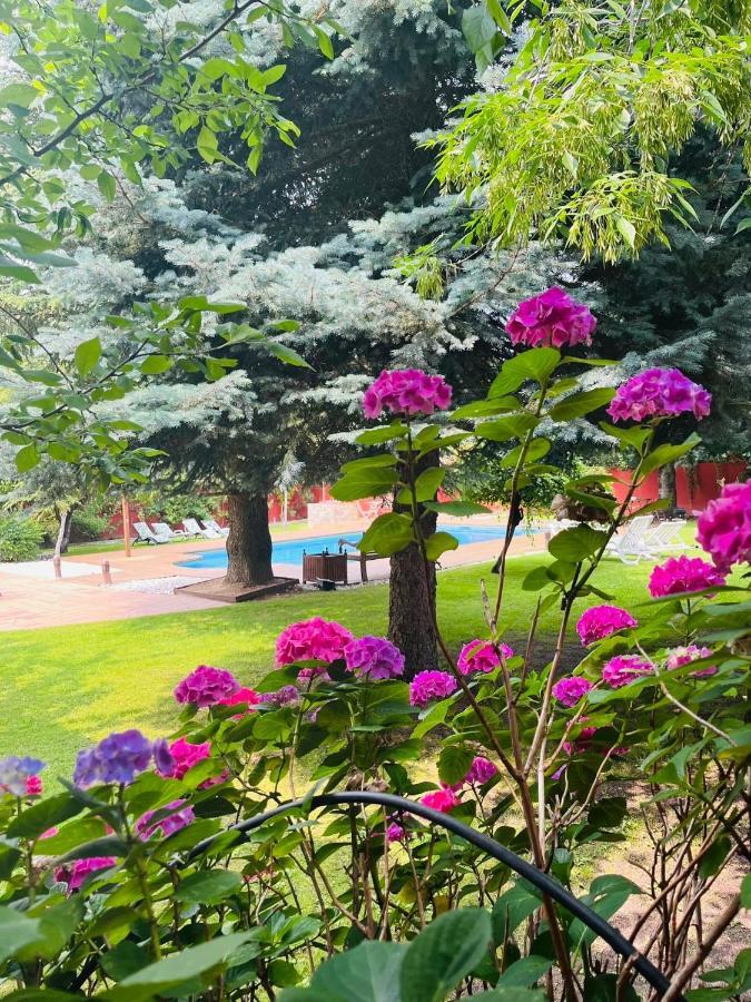 B&B Concha Becerril de la Sierra Dış mekan fotoğraf